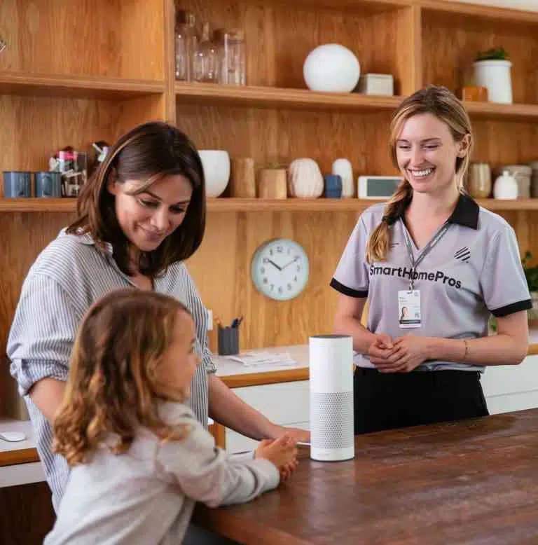 Vivint professionals